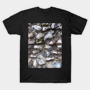 Flint Wall T-Shirt